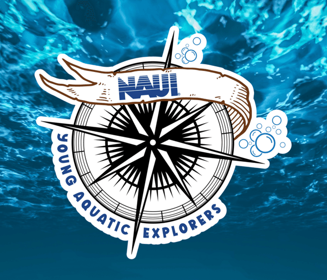Young Aquatic Explorer