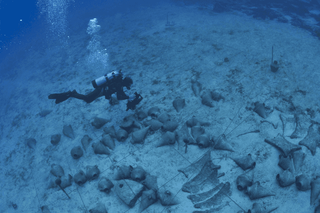Underwater Archeology